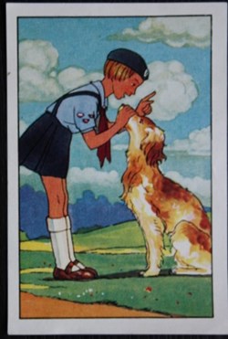 Image / Chromo - La vie fière et joyeuse des scouts - X-02 - Une jeannette