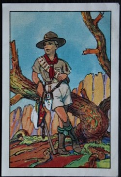 Image / Chromo - La vie fière et joyeuse des scouts - XI-07 - Scout des Etats-Unis