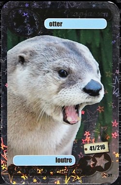 TCG Les héros de notre planète - 041 - Loutre - Rare Brillante