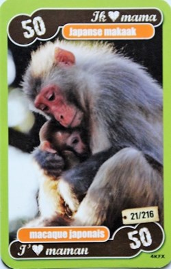 TCG Les héros de notre planète - 021 - Macaque japonais