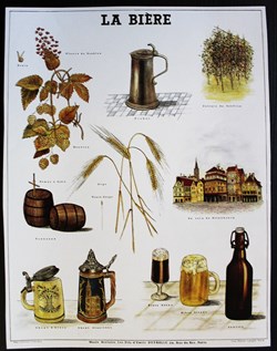 Planche Documentation scolaire - La bière - "Les fils d'Emile Deyrolle"