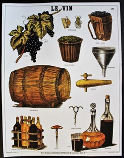 Planche Documentation scolaire - Le vin - "Les fils d'Emile Deyrolle"