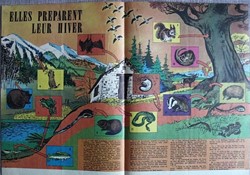 Encart central - Elles préparent leur hiver - Hibernation des animaux