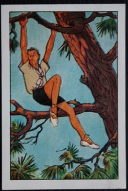 Image / Chromo - La vie fière et joyeuse des scouts - IX-05 - Des jeux qui exercent les muscles