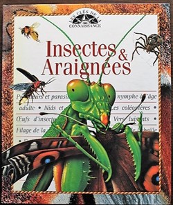 Les clés de la connaissance - 17 - Insectes et araignées - 1999