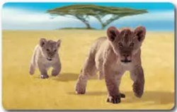 Animaux Cora 2014 - Carte Holographique - 37 - Lionceau