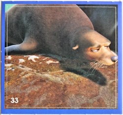 Stickers 33 - Crois en tes rêves - Cora 2021
