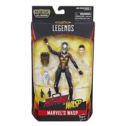 Wasp