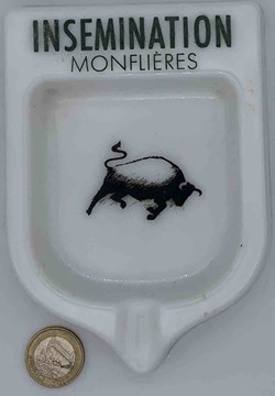 Insémination Monfilières