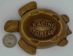 Racine Tortue