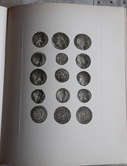 Collection C.Côte