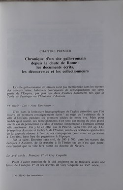Jean-Bernard Devauges , Entrains Gallo-Romain