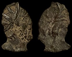 VICTORINUS CURIOSITY