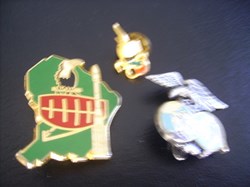 pin's militaires