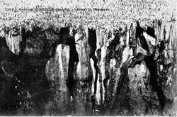 Grottes d'Oselle (avant la descente)