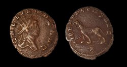 Gallienus Tigress or Panther