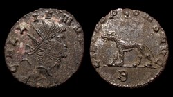 Gallienus Panther / Tigress