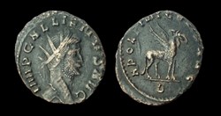 Gallienus Griffin