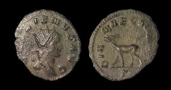 Gallienus Antelope