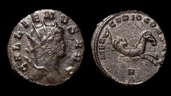 Gallienus Criocamp
