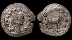 Gallienus Bull