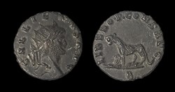 Gallienus Tigress or Panther