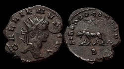 Gallienus Panther / Tigress