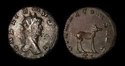Gallienus Gazelle