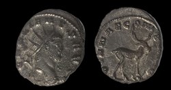 Gallienus Stag