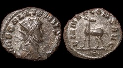 Gallienus Doe