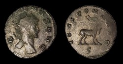 Gallienus Goat