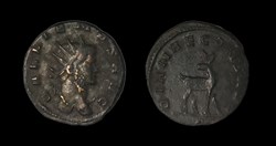 Gallienus Doe
