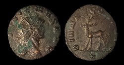 Gallienus Stag