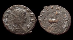 Gallienus Pegasus