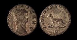 Gallienus Tigress or Panther