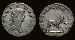 Gallienus Boar