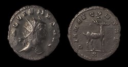 Gallienus Stag