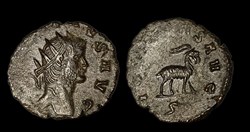 Gallienus Goat