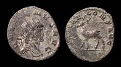 Gallienus Stag