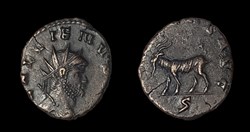 Gallienus Goat