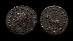 Gallienus Tigress or Panther