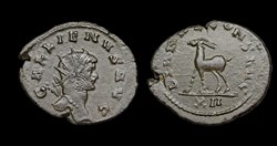 Gallienus Gazelle