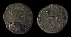 Gallienus Doe