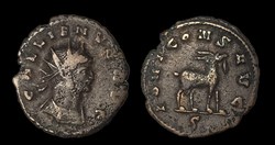 Gallienus Goat