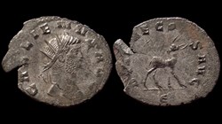 Gallienus Doe
