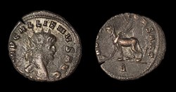 Gallienus Griffin