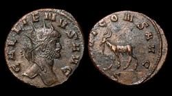 Gallienus Goat