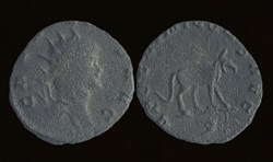Gallienus right facing Griffin