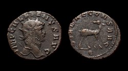Gallienus Doe
