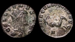 Gallienus Criocamp